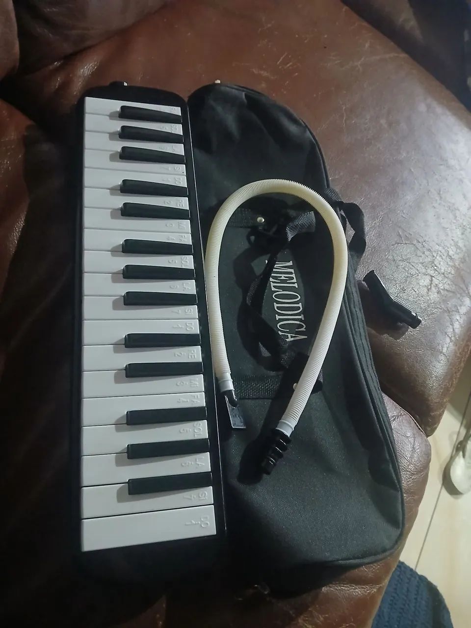 Escaleta Melodica - Foto 4