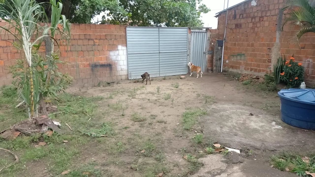 Venda de imóvel - Areal  - Foto 3