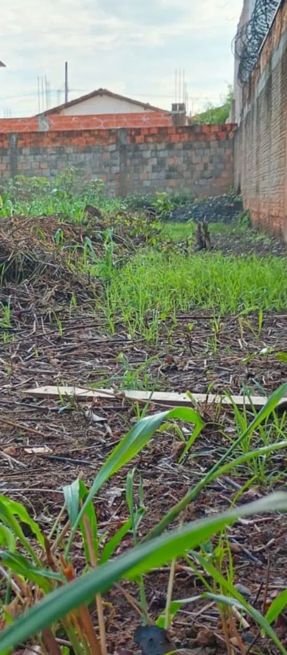 Região sul de Montes claros/Lote Murado Área 300 M²...