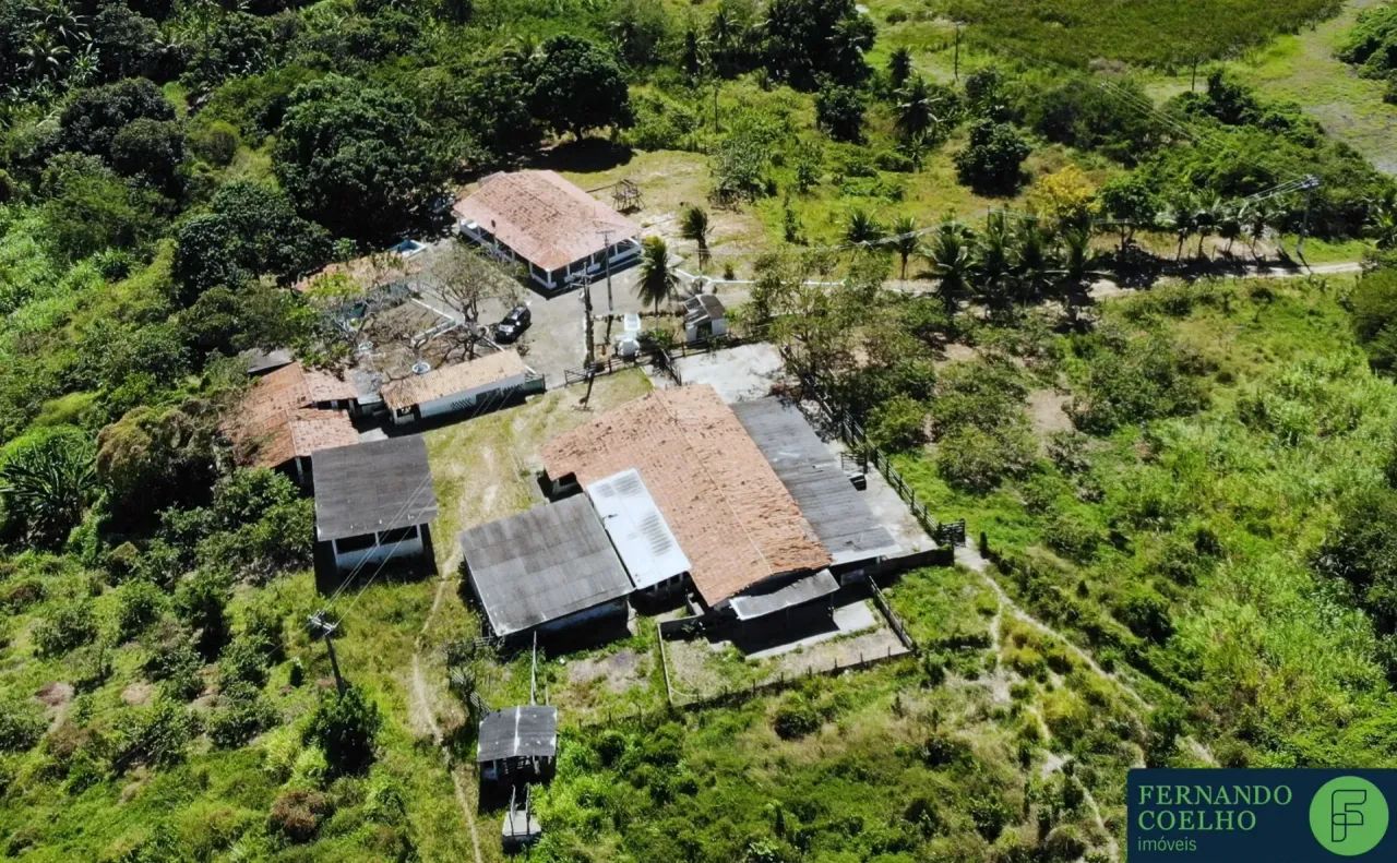 Fazenda de 23,0ha em Guaiúba-CE - Foto 4
