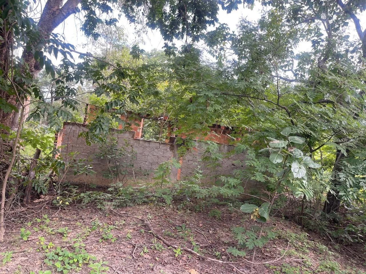 Propriedade Rural - Foto 2