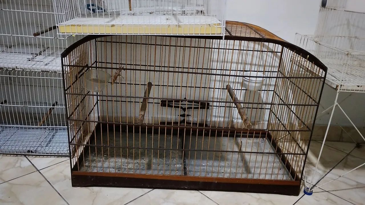 Gaiolas  - Foto 3