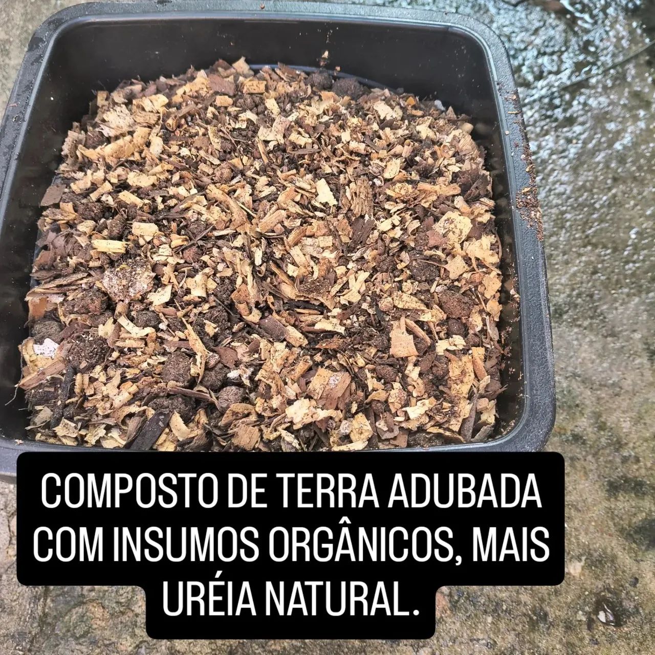 Vasos com terra adubada e uréia 