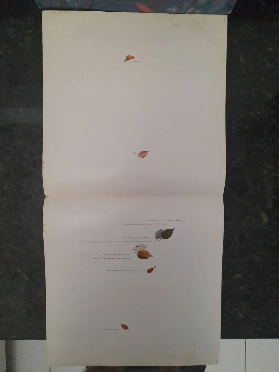 LP Vinil Erasure - Wild - Foto 5