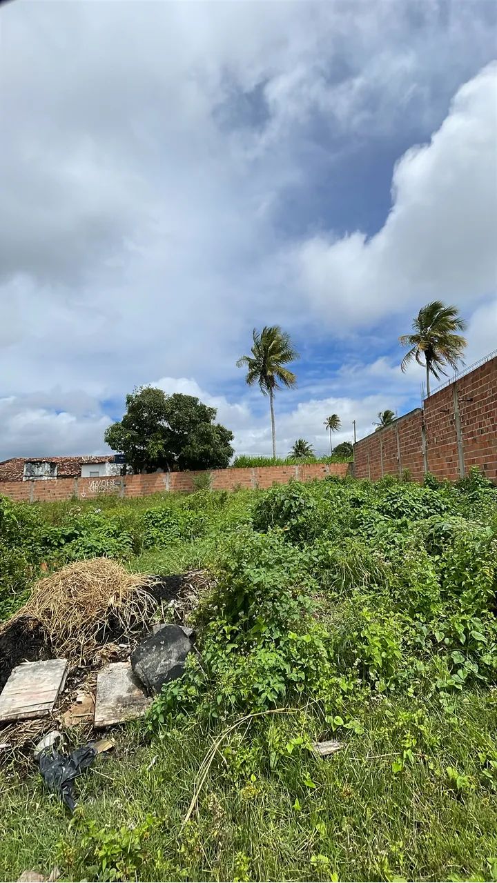 Vendo terreno  - Foto 2