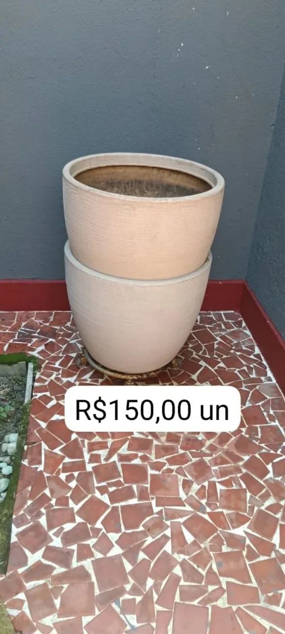 Plantas  - Foto 3