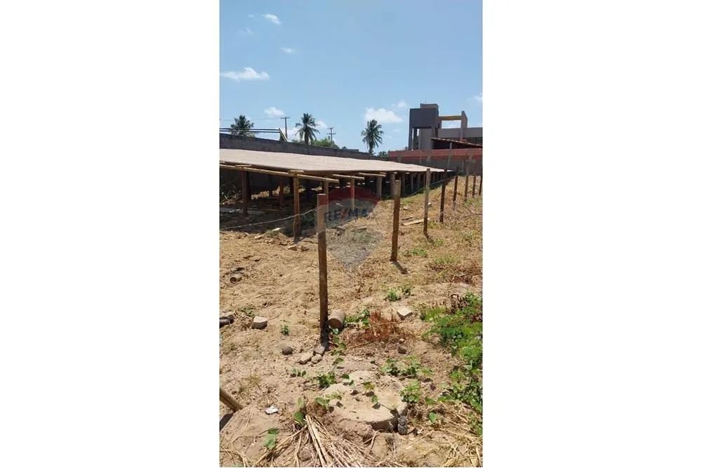 LOTE COM USINA SOLAR - CENTRO SÃO MIGUEL DOS MILAGRES - Foto 9