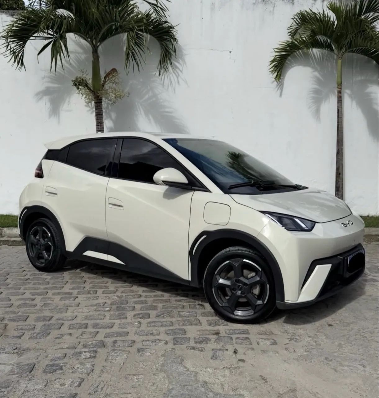 BYD Dolphin Mini (Elétrico) 2027