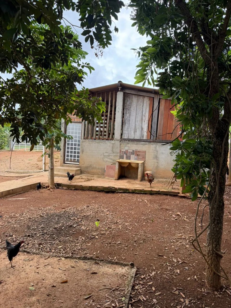 Foto - Aparecida de Goiânia - Vila Alzira