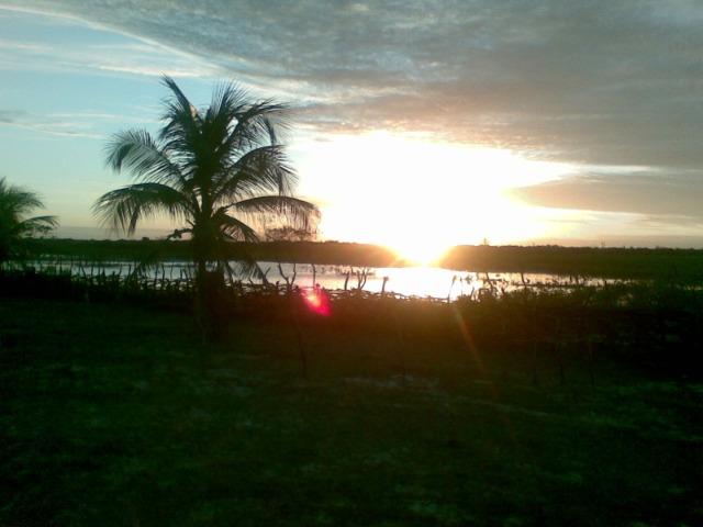 Fazenda 500ha - Foto 6