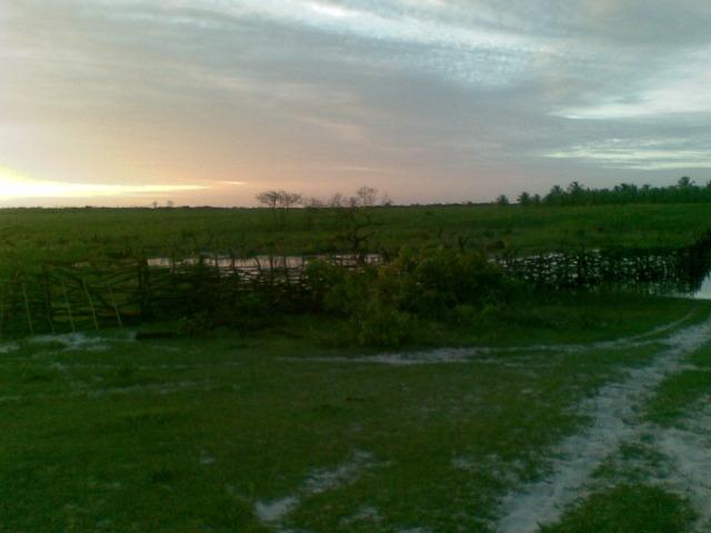 Fazenda 500ha - Foto 7