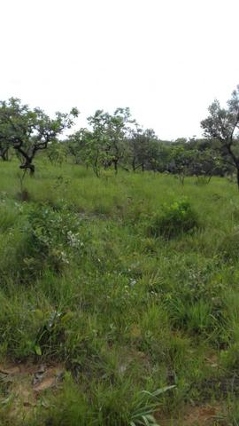 Formosa Goiás - Foto 5