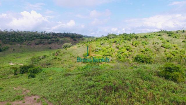 Fazenda à venda, 10115600 m² por r$ 8.000.000,00 - zona rural - nanuque/mg - Foto 20