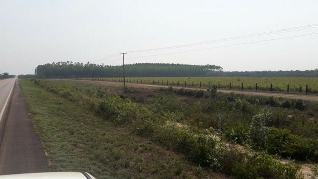 Vendo Linda Fazenda de frente a estrada - a 30 km de porto velho/Ro - Foto 7