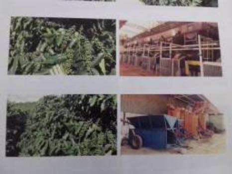 Fazenda Completa em Capelinha/MG - Foto 4