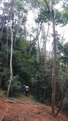 Terra para Fazenda ou sitio ( tenho um ponto comercial e uma casa) zap * - Foto 3