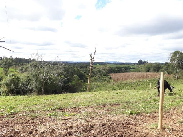 Linda Chácara A 15 Min. do Pinheirinho 14.000 m ² - Foto 5
