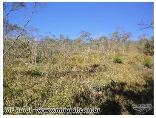 Área de terra com 3 hectares em Fagundes Varela (capela São José) - Foto 3
