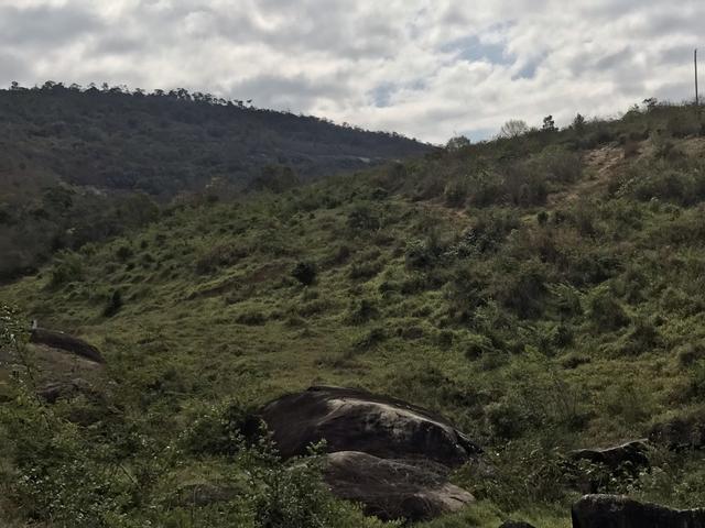 Fazenda em Minas - Foto 2