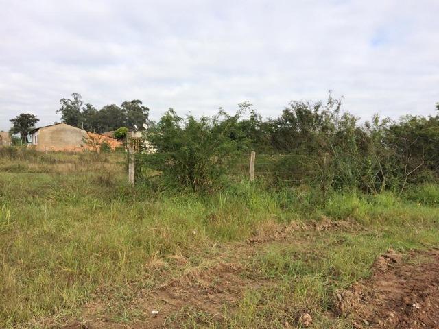 Terreno - Foto 5