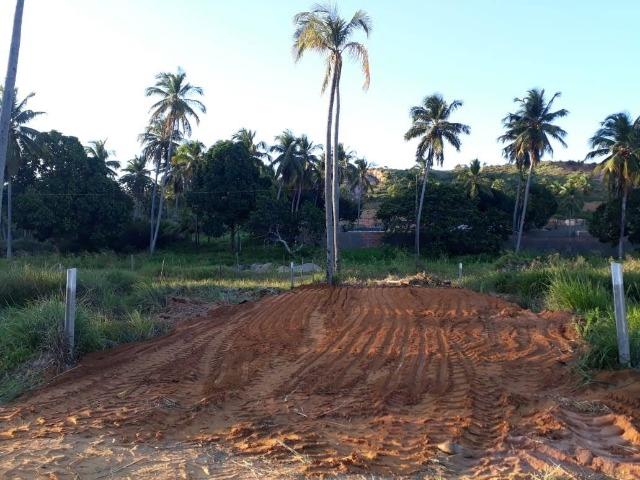 Lote Japaratinga-Rua da jaqueira - Foto 2