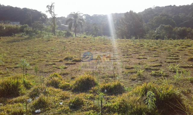 Área, Vila Gilcy, Campo Largo-PR - Foto 8