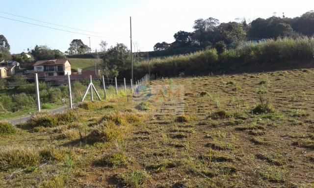 Área, Vila Gilcy, Campo Largo-PR - Foto 17