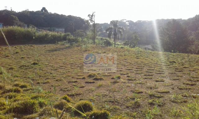 Área, Vila Gilcy, Campo Largo-PR - Foto 5