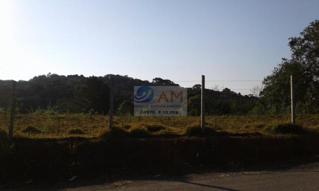 Área, Vila Gilcy, Campo Largo-PR - Foto 16