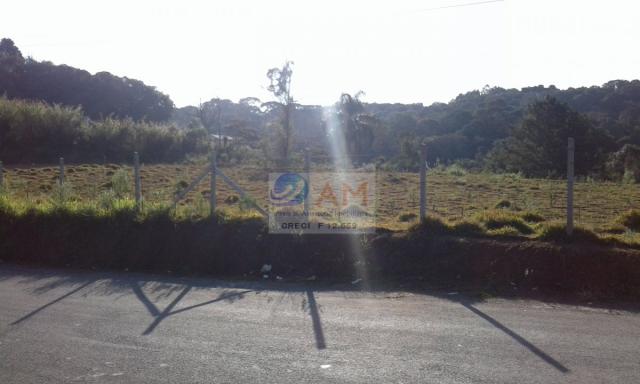 Área, Vila Gilcy, Campo Largo-PR - Foto 4
