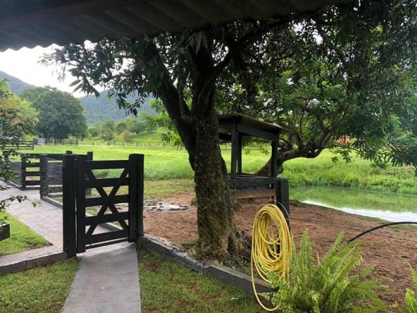Chácara à venda em Palmeiras, Santo antônio do leverger cod:CH00004 - Foto 20