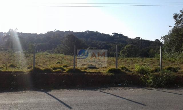Área, Vila Gilcy, Campo Largo-PR - Foto 3