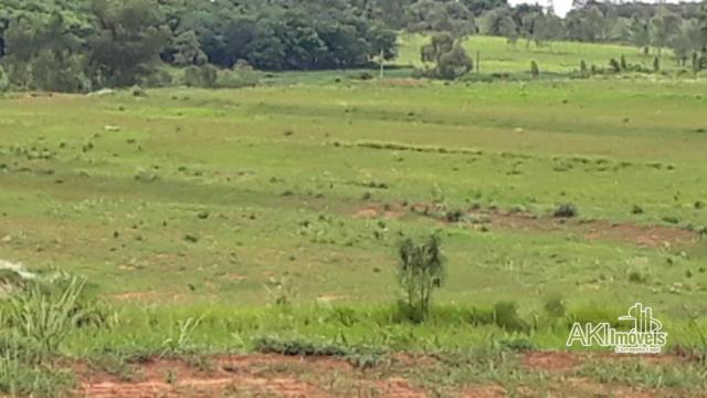 Sitio 10 alqueires em nova esperança