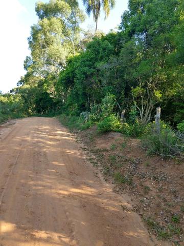 Terreno 3 alqueires próx: são Mateus do sul - Foto 5
