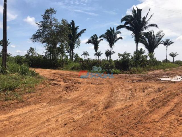 Terreno residencial à venda, área rural de porto velho, porto velho.