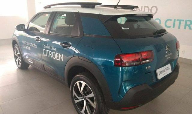 C4 Cactus Shine Aut 2019 - Foto 2