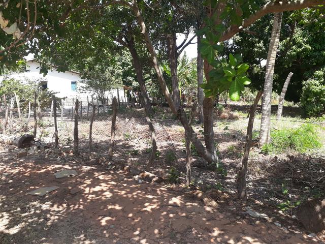 Terreno em barreirinhas - Foto 5