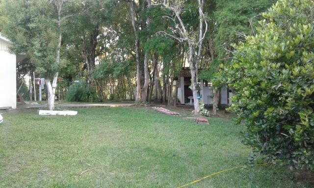 Vende-se chácara em Anta Magra - Quitandinha (cód. A354) - Foto 15