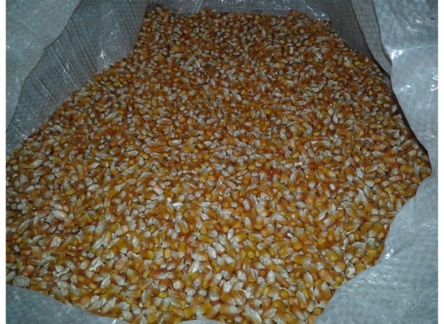 Venda de Grãos - Foto 3