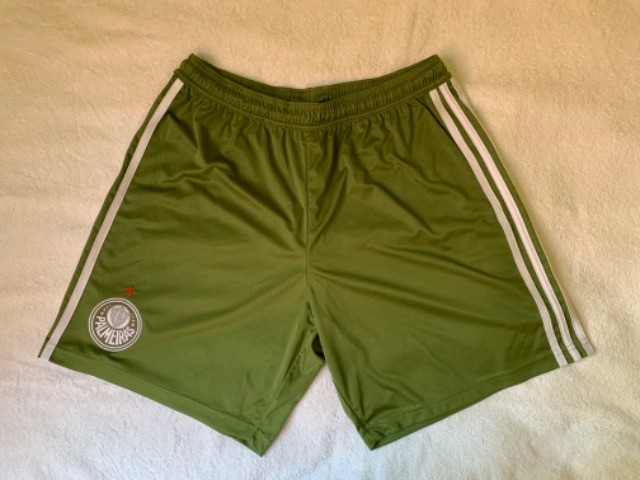 Palmeiras G novo  - Foto 5