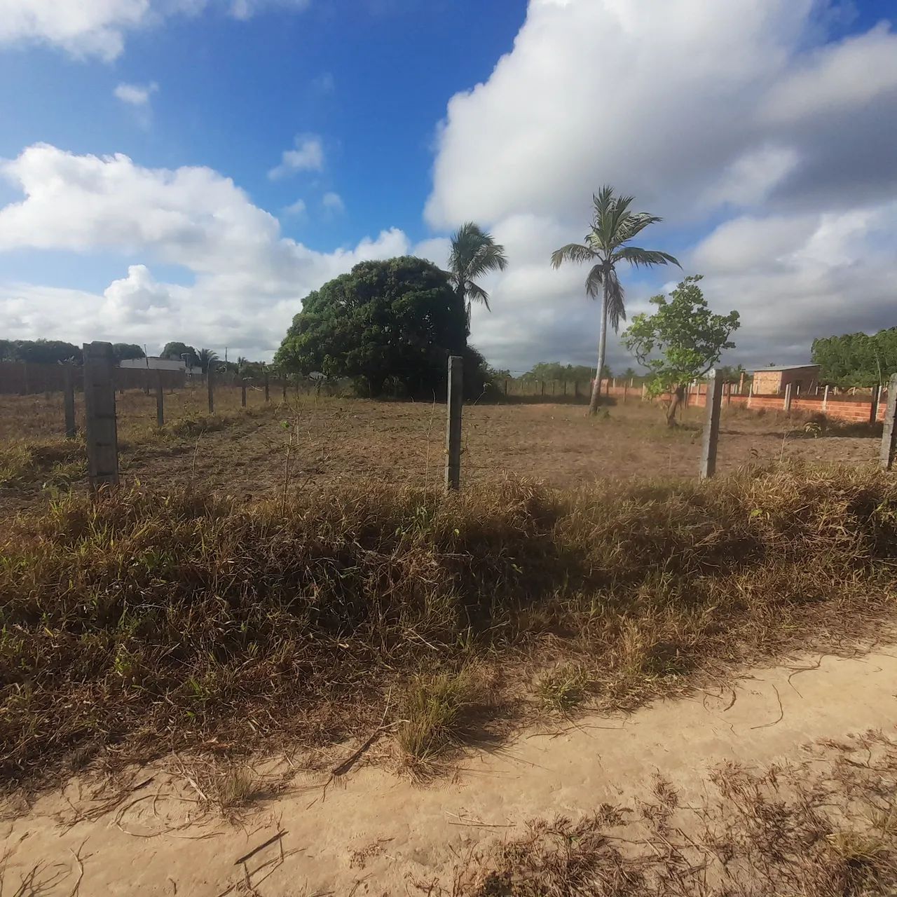 foto - Aracaju - 17 de Março