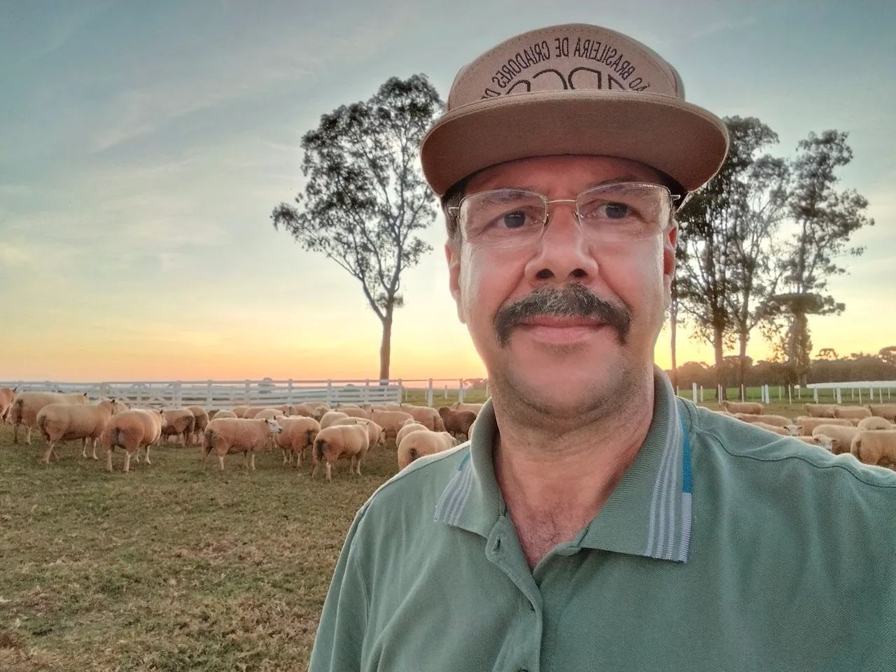 Consultoria em ovinocultura 