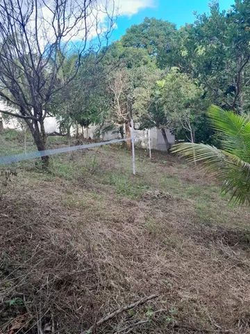 VENDO ÁREA PARA SÍTIO OU VILLAGE 57X55=3.135m² MURADA NA FRENTE - Foto 10