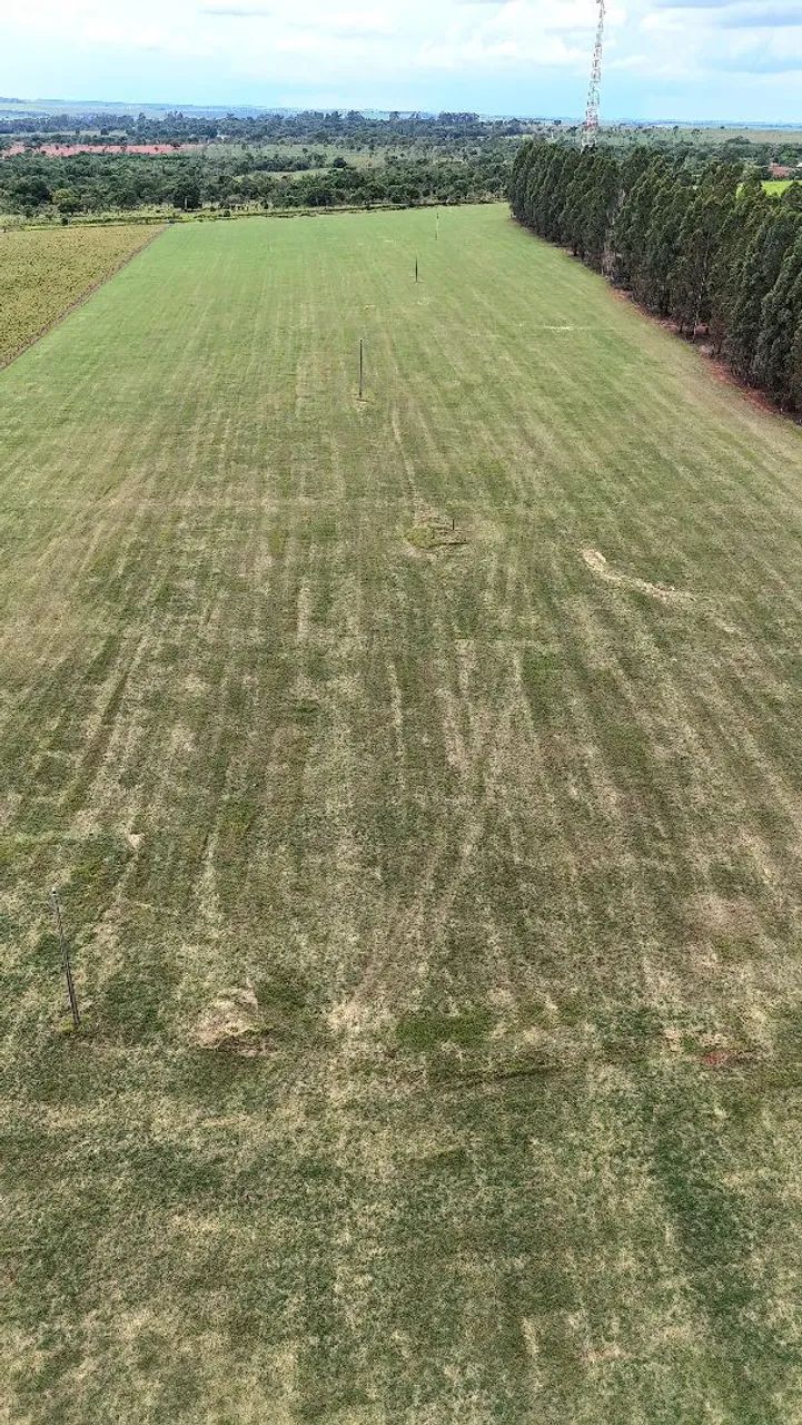 Chácara de 13 Hectares saída para Rochedinho! - Foto 5