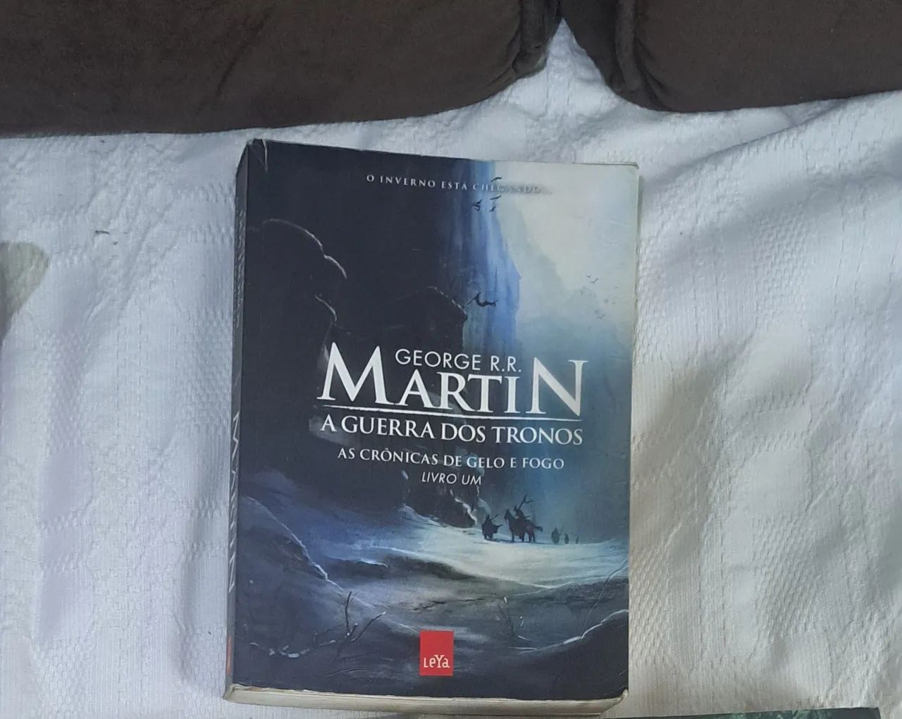 A Guerra dos Tronos - As Crônicas de Gelo e Fogo - Livro 1