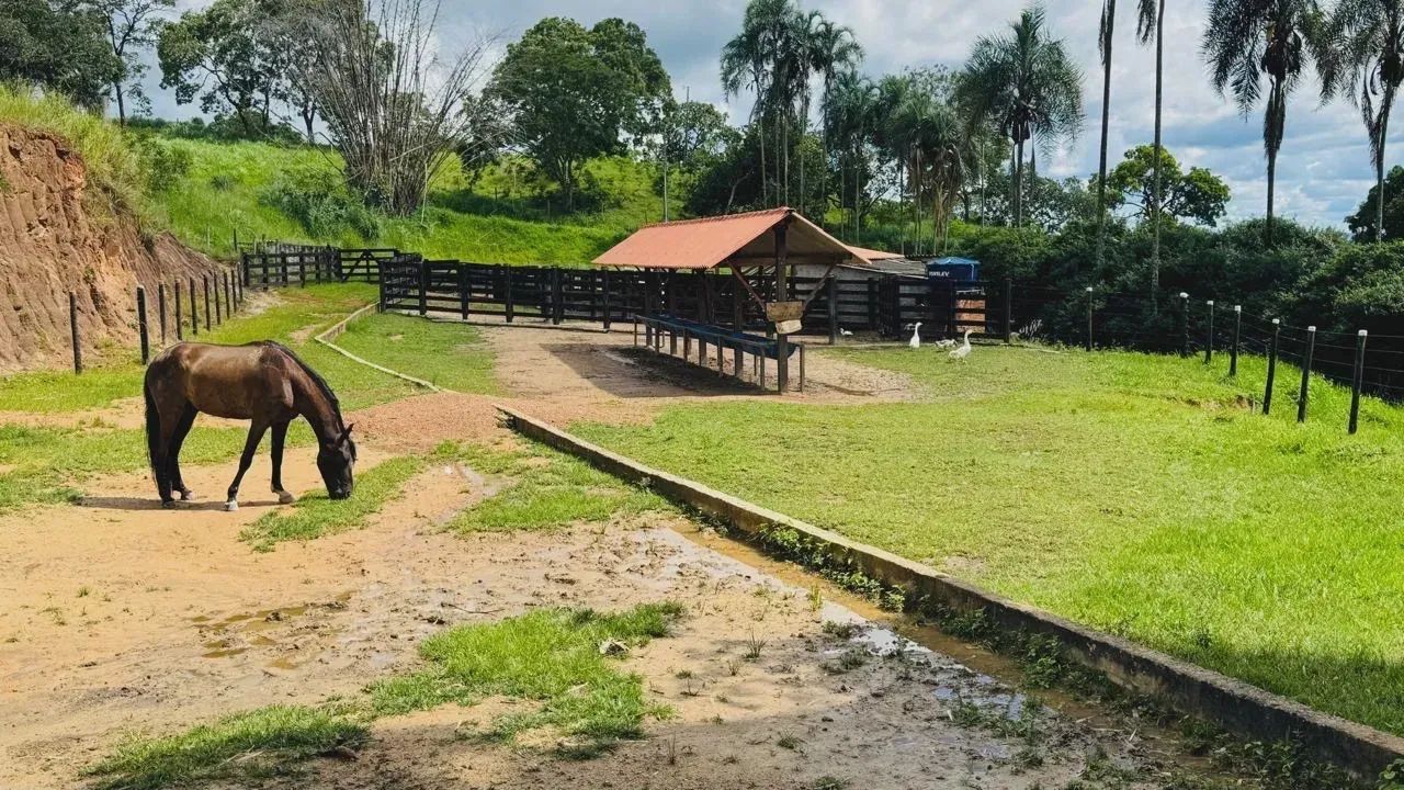 Imóvel para venda possui 550 metros quadrados com 5 quartos em Testo Salto - Blumenau - SC