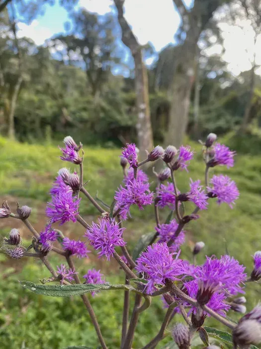 IMÓVEIS RIO RUFINO, nosso objetivo é encontrar o melhor investimento para você na Serra Ca