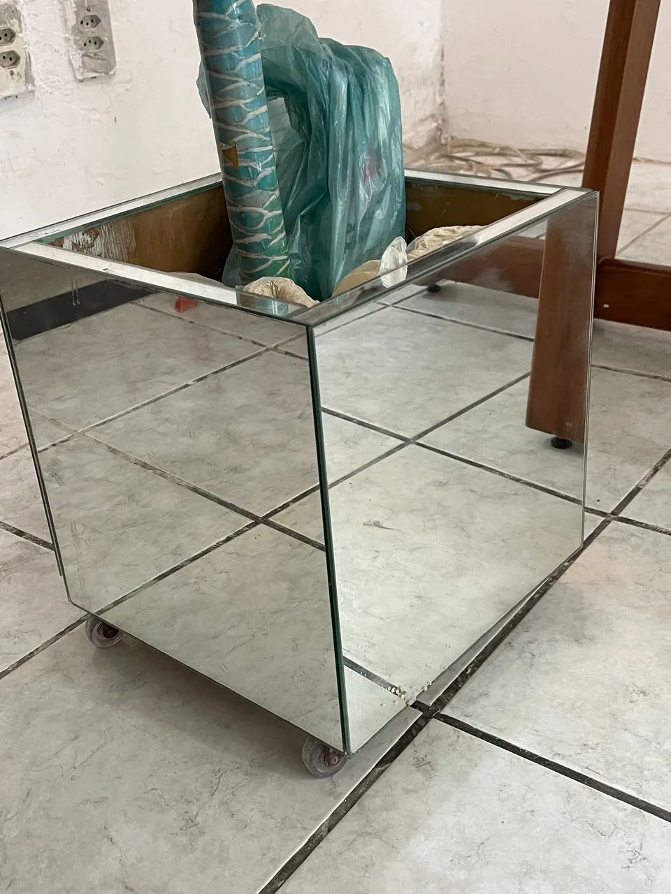 Planta com jarro64305474569345123