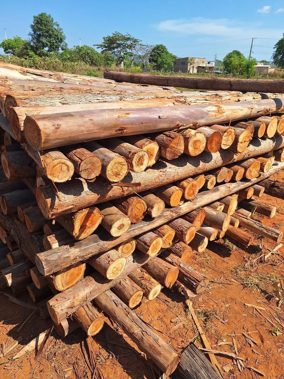 Estacas de elcalipto  com 2,20  - Foto 2