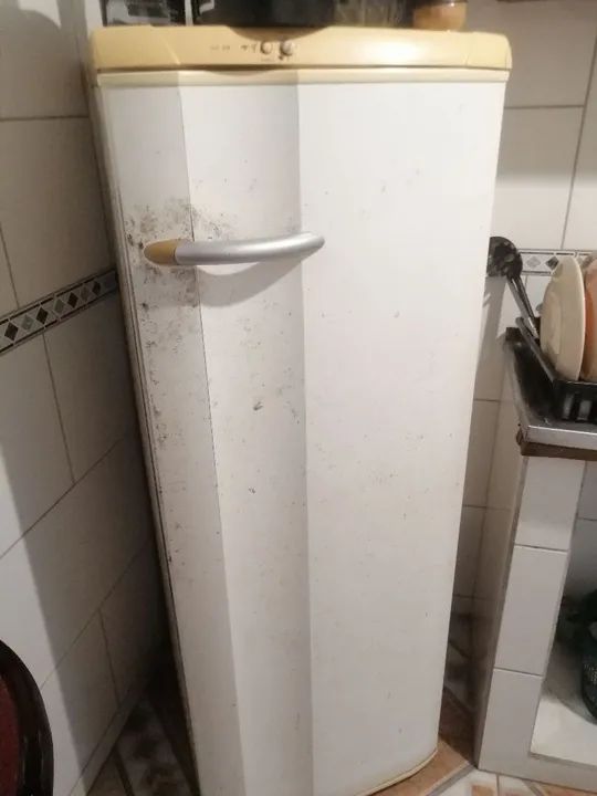 Geladeira bastante usada, mais boa pra hoje gelando